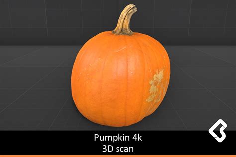 4k Pumpkin Photogrammetry 3d 食物 Unity Asset Store