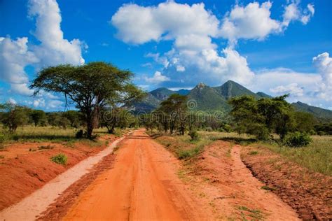 Red Ground Road Bush With Savanna Tsavo West Kenya Africa Stock