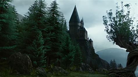 Harry Potter Forest Wallpapers Top Free Harry Potter Forest