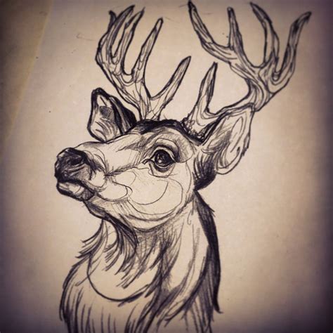 Sketch Deer Head Tattoo Deer Skull Tattoos Head Tattoos Animal