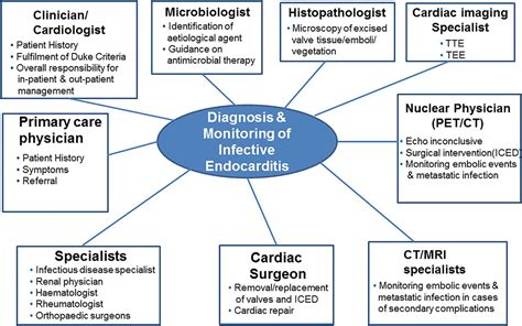 New Diagnostic Approaches In Infective Endocarditis Heart