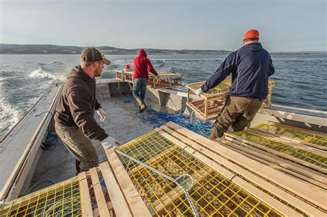 My First Setting Day Lobster Fishing In Lismore Nova Scotia John