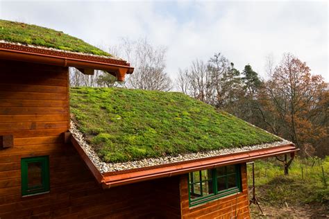 Going Green 8 Impressive Benefits Of A Grass Roof Residential