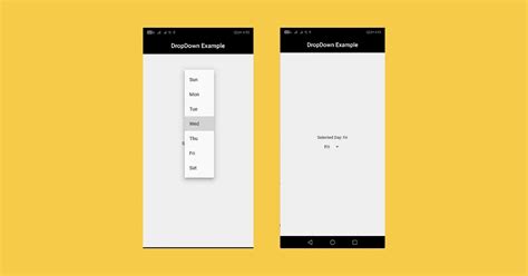 How To Create And Implement Dropdown Menu In Flutter With Example Code Images And Photos Finder