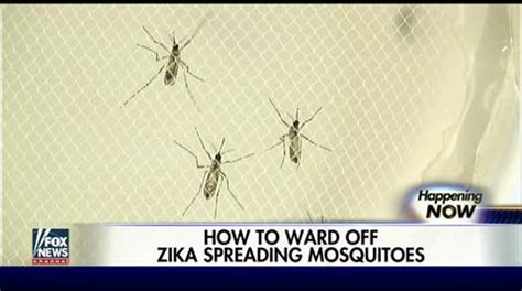 Us Residents Concerned About Zika Virus Fox News