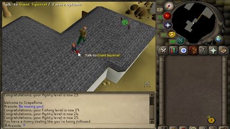 Osrs Imm Pet Drop At Level 25 Agility Youtube