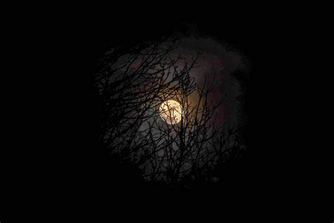 Wallpaper Black Moon Darkness Light Night Atmosphere Phenomenon