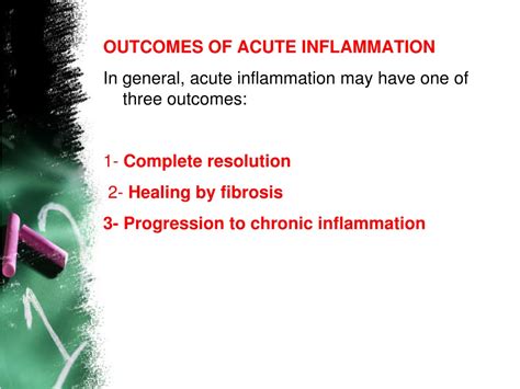 Ppt Pathology Of Inflammation Powerpoint Presentation Free Download