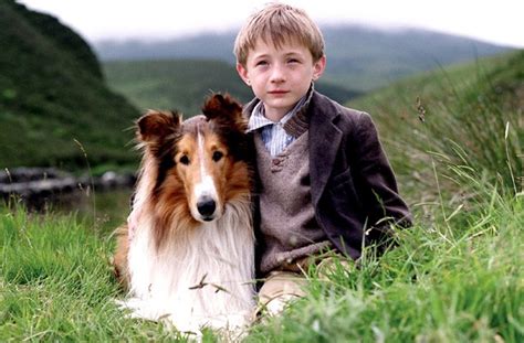 Whos Your Favourite Famous Dog Lassie Goodtoknow