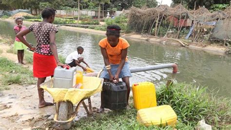 Em Plena Luanda Do Século Xxi População Da Quiçama Urina Sangue Por Beber água Da Lagoa