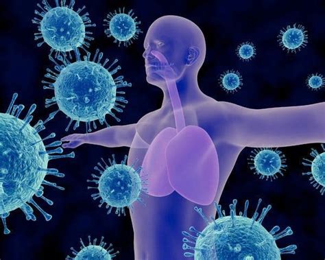 Tingkatkan Imunitas Tubuh Di Tengah Pandemi Dengan Beberapa Cara Ini Hmpl