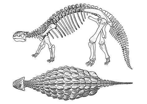 Desenho Para Colorir dinossauro anquilossauro Imagens Grátis Para Imprimir img