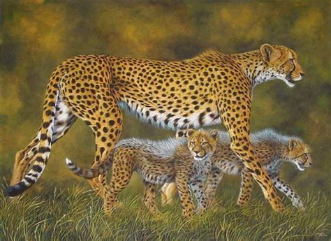 Pin By Carolyn Keith On Illustrations 1 Cheetah Cubs Pet Birds