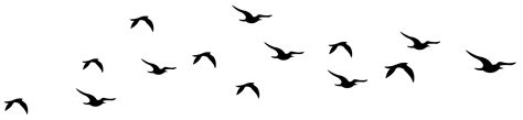 Silhouette Birds Flying Clipart Best