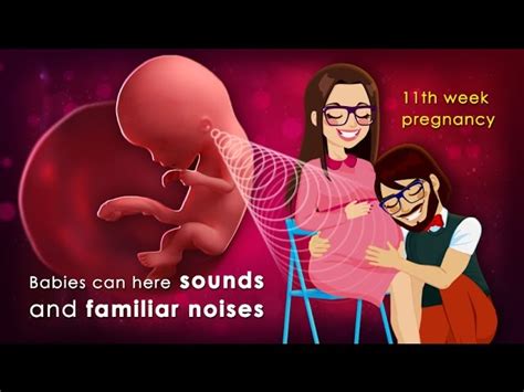 11th Week Of Pregnancy Know Your Fetal Development
