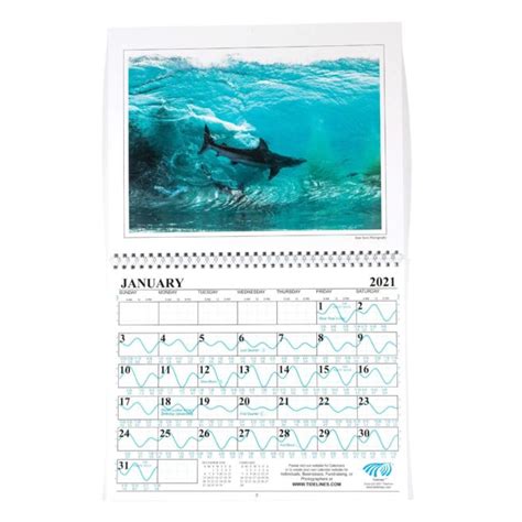 San Diego Tide Calendar 2025