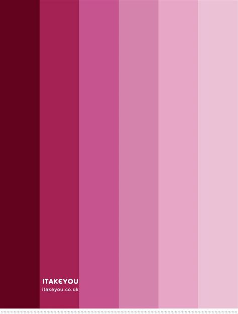 Shades Of Pink Colour Combination Colour Palette Pink Color