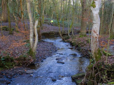 Here Are Five Of The Best Woodland Walks In Lancashire Lancashire