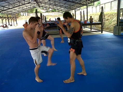 the real scoop on tmt chiang mai from its first official guest tiger muay thai and mma training