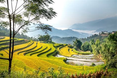 Longsheng Rice Terraces Travel Guide 2023 Things To Do