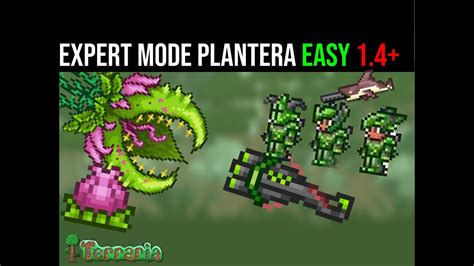 Terraria Expert Mode Plantera Guide 1 4 Easy 2022 Youtube