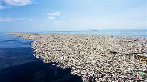 Cuáles Son Las 5 Islas De Plástico Más Grandes Del Mundo