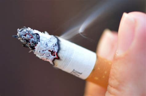 Your Brain Lungs Sex Life How Smoking Ruins Your Health Rediff