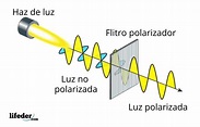 Polarización de la luz: tipos, ejemplos, aplicaciones