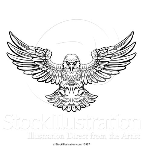 Vector Illustration Of Cartoon Black And White Swooping American Bald