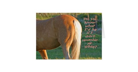 A cool horse singing happy happy birthday and a rap song. Horse Birthday Card--Funny Men's Card | Zazzle.com