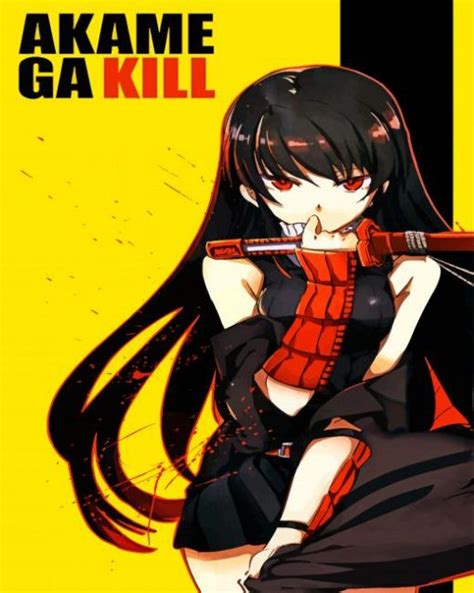 Akame Ga Kill Paint By Number Num Paint Kit