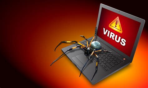 Computer Repairs Graceville Virus Removal Graceville