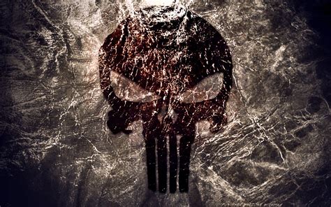 Punisher Hd Wallpaper Background Image 1920x1200 Id461076