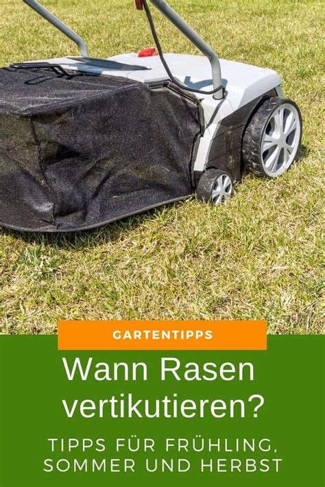 Unerwünschter effekt durch wühlmäuse und maulwürfe. Rasen vertikutieren - Wann ist die beste Zeit?