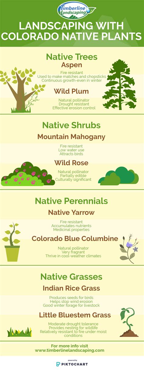 Landscaping With Colorado Native Plants Timberline Landscaping Inc