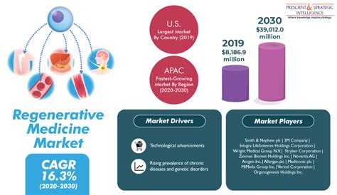 Regenerative Medicine Market In North America Set For Huge Expansion In