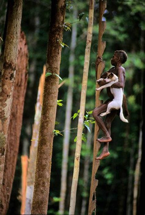 The Lost Treehouse Tribes Of The Rainforest