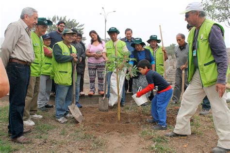 4 Iniciativas Que Buscan Mejorar El Medio Ambiente E Involucrar A Las