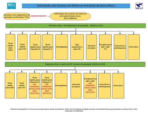 Passo A Passo Pre Natal