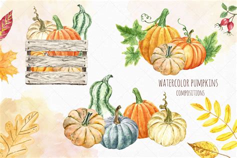 Watercolor Autumn Harvest Clipart Pumpkin Patch Thanksgiving 367796