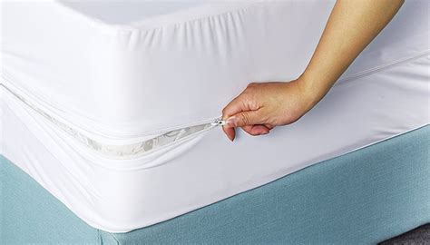 Our vinyl covers are available in 2 different depths to fit snugly on your mattress. What You Need to Know About Bed Bug Mattress Covers