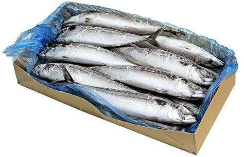 A wide variety of saba mackerel options are available to you, such as part, variety, and feature. Recipes with Japanese Foods (Healthy Japanese Foods ...