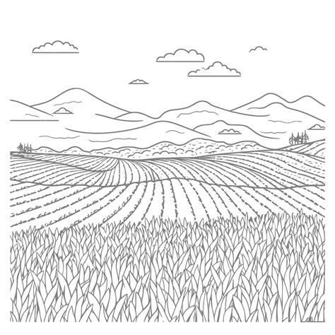 Corn Paddy Farming Illustration Landscape Coloring Outline Sketch
