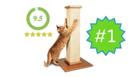 Smartcat Ultimate Scratching Post Review Kitty Loaf