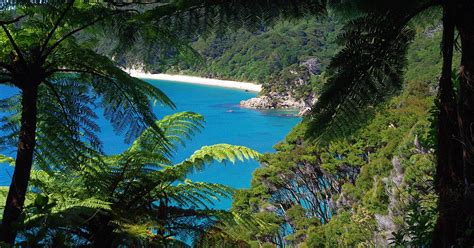 Qué Ver En Abel Tasman National Park Viaje Y Circuitos Evaneos