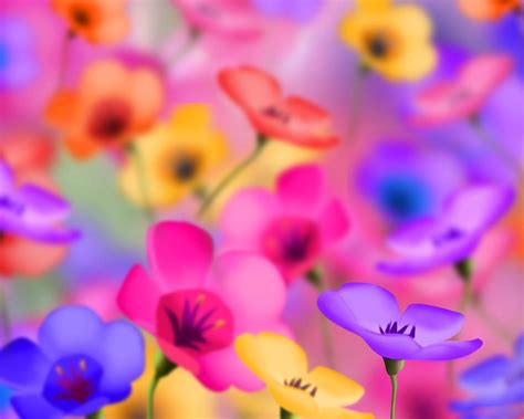 Colorful Flowers Desktop Backgrounds Wallpapers Colorful Background