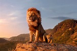 《獅子王》，當動畫變成國家地理雜誌版本之時