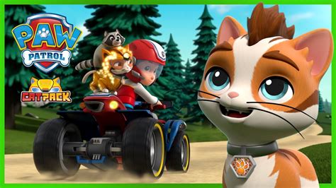 Wild Cat And Rubble Stop A Giant Ball Of Yarn Paw Patrol Cat Pack