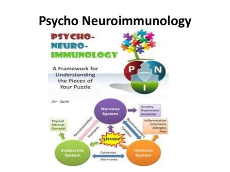 Psycho Neuro Immunology