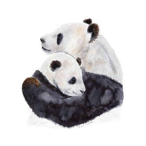 Mom And Baby Panda Watercolor Art Nursery Wall Art Various